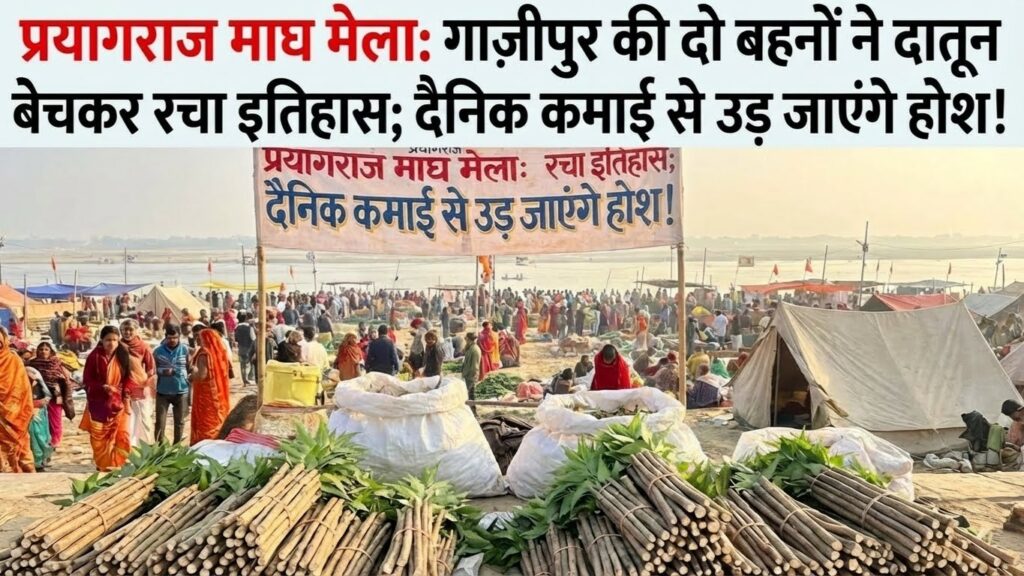 Same_design__202601071127