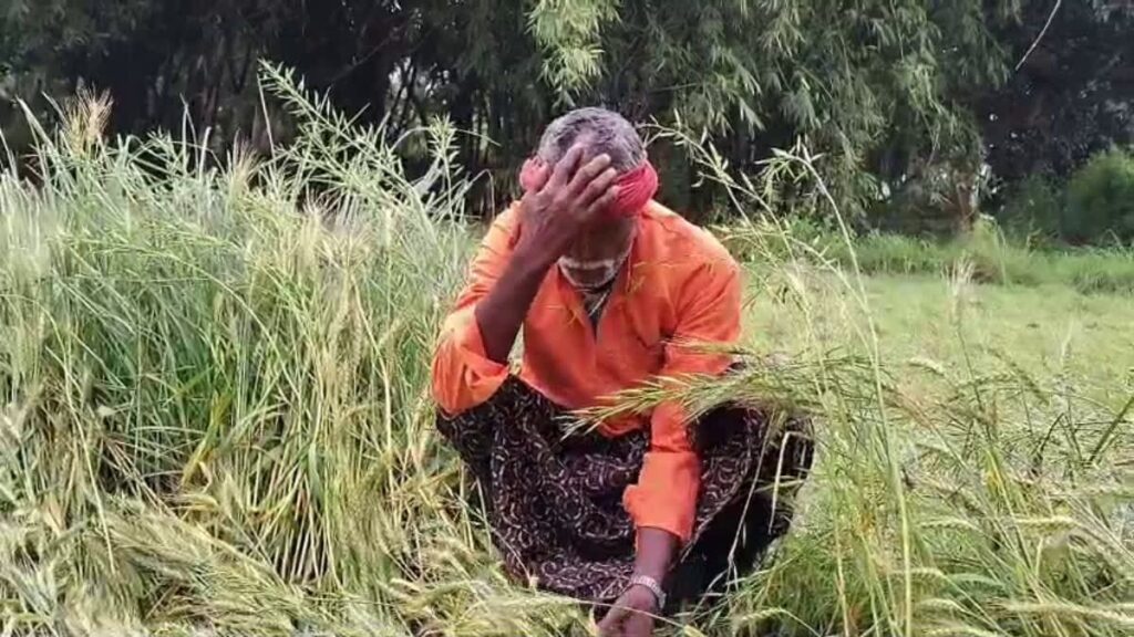 1200 675 26297368 thumbnail 16x9 crop6993236161300158535